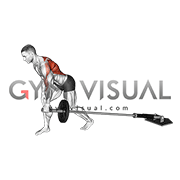 Barbell One Arm Bent over Row