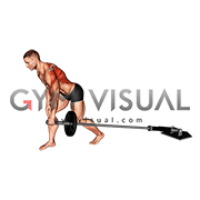 Barbell One Arm Bent over Row