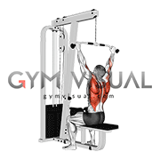 Cable Rear Pulldown