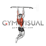 Reverse grip Pull up