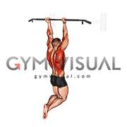 Reverse grip Pull up