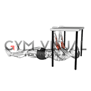 Biceps Curl under Table (male)