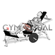 Lever Hip Thrust (plate loaded) (male)
