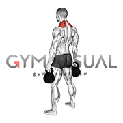 Kettlebell Shrug