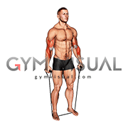 Band Standing Reverse Curl