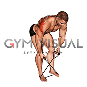 Band Bent over Rear Lateral Raise (male) (VERSION 2)