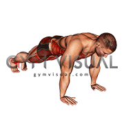 Spider Mountain Climber (male)