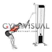 Cable Straight Arm Pulldown (with rope attachment)