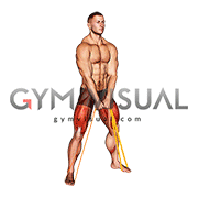 Resistance Band Sumo Squat (male)