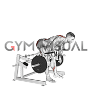 Lever Romanian Deadlift (plate loaded) (male)