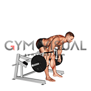 Lever Romanian Deadlift (plate loaded) (male)