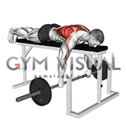 Barbell Lying Seal Row on Rack