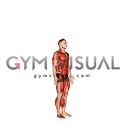 Burpee with Push-up (male)