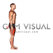 Bodyweight Forward Lunge (Smaller Stance Upright Torso)