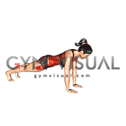 Plank arm lifts
