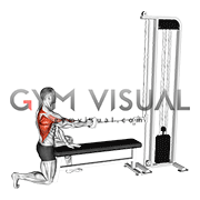 Cable Half Kneeling Single Arm Row (VERSION 2) (male)