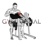Lever Single Arm Preacher Curl (plate loaded)