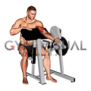Lever Single Arm Preacher Curl (plate loaded)