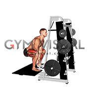 Lever Belt Deadlift (V bar) (male)