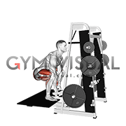 Lever Belt Deadlift (straight bar) (male)