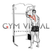 Cable 45 degrees Single Arm Reverse Grip Reverse Fly (male)