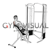 Cable Incline Single Arm Y Raise with Back Support (male)