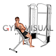 Cable Incline Single Arm Y Raise with Back Support (male)