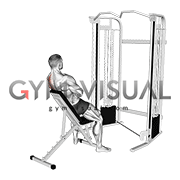 Cable Incline Single Arm Y Raise Wrist Straps with Back Support (male)