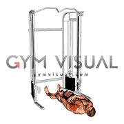 Cable Lying Single Arm Cross Lateral Raise
