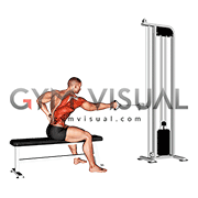 Cable Sitting Banch Single Arm Twisting Row