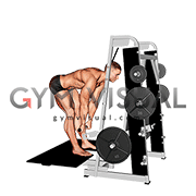 Lever Belt Romanian Deadlift (straight bar) (male)