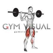 Barbell Jump Squat
