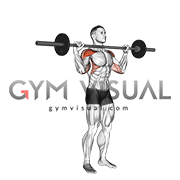 Barbell Standing Bradford Press