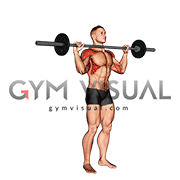 Barbell Standing Bradford Press