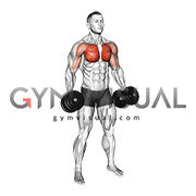 Dumbbell Standing Alternating Cross Raise