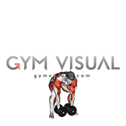 Dumbbell Hang Snatch