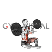Barbell Butterfly Z Press