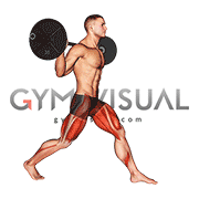Barbell Static Lunge