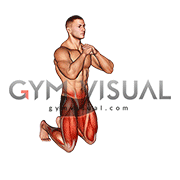 Alternating Kneeling to Half Kneeling (male)