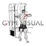 Cable Standing Single Delt Row (male)
