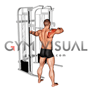 Cable Standing Single Delt Row (male)