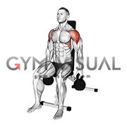 Kettlebell Seated Lateral Raise