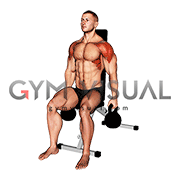 Kettlebell Seated Lateral Raise
