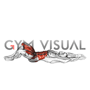 Seated Frog Half to Full Sit-up (male)