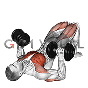 Dumbbell Glute Bridge Chest Press (male)