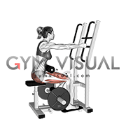 Lever Standing Hip Thrust (female)