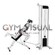 Cable Lying Incline Single Leg Kickback (female)
