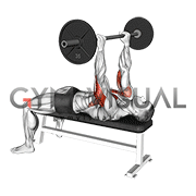 Barbell California Press (male)