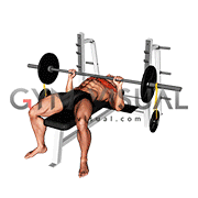 Barbell Banded Weighted Plate Bench Press (male)