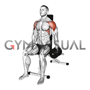 Dumbbell Seated Alternating Lateral Raise